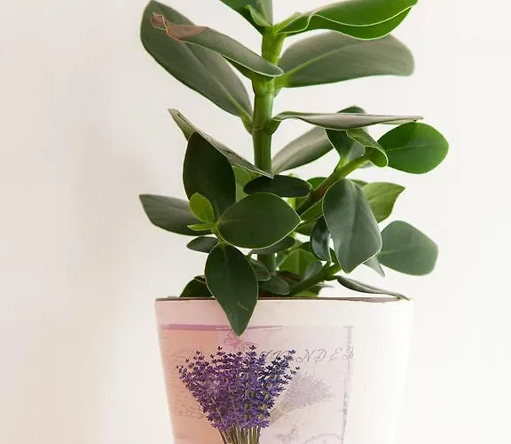 Apartament Self Check-in Eco In The Heart Of Buda Budapesta